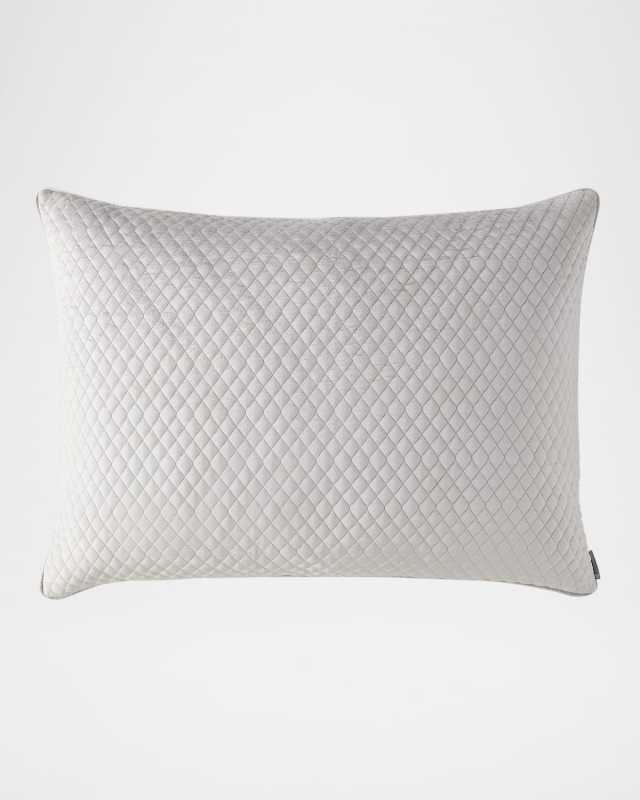 Valentina Velvet Luxe Euro Pillow, 27" x 36"